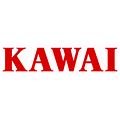 Kawai model KG-2C Grand Piano