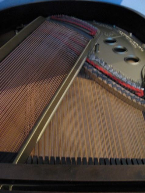 Steinway model M S#215927 Grand Piano Strings at 88 Keys Piano Warehouse & Showroom
