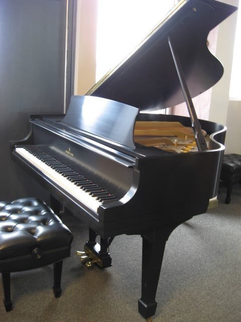 Steinway model S Grand Piano Treble at 88 Keys Piano Warehouse & Showroom