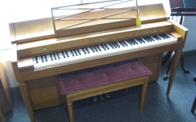 Ideal budget or starter piano