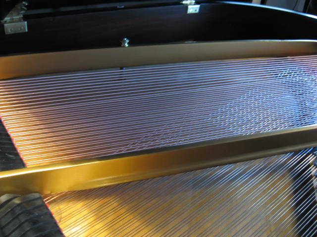 Steinway model M Two-toned finish Strings at 88 Keys Piano Warehouse & Showroom