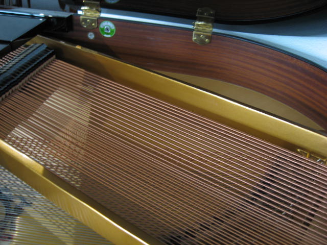 PianoDisc CD Player piano System Strings at 88 Keys Piano Warehouse