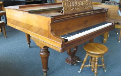 Crafted in France Pleyel Grand Piano