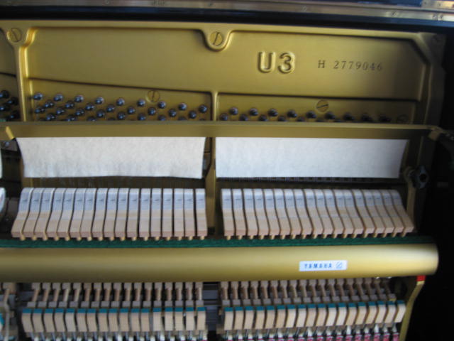 Yamaha model U3 Professional Upright Piano Model at 88 Keys Piano Warehouse