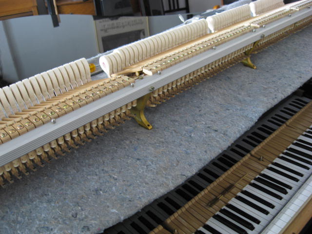 Yamaha model C3 Grand Piano Regulation at 88 Keys Piano Warehouse