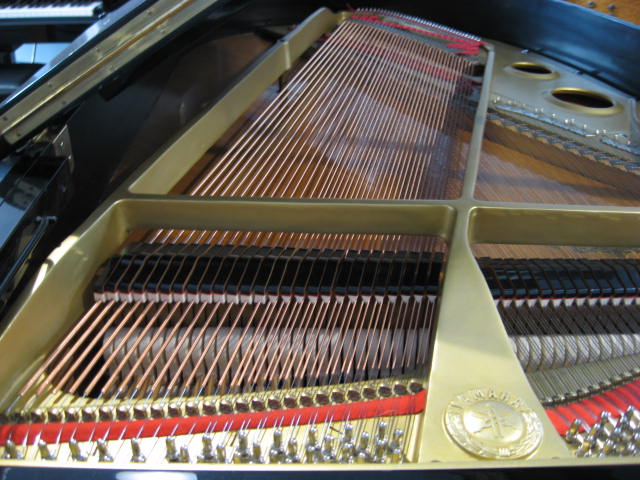 Yamaha model C3 Grand Piano Strings at 88 Keys Piano Warehouse