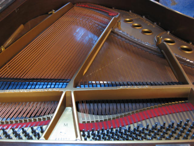 Steinway model M Grand Piano 244974 Strings at 88 Keys Piano Warehouse